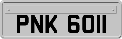 PNK6011