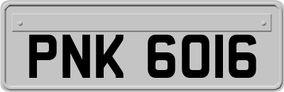 PNK6016