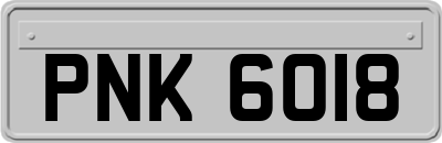 PNK6018