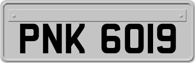 PNK6019