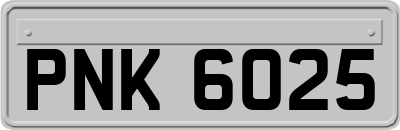 PNK6025