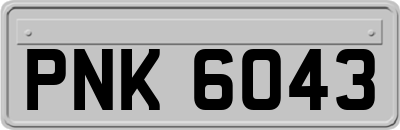 PNK6043