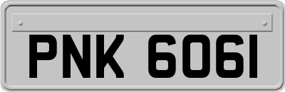 PNK6061