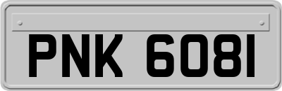 PNK6081