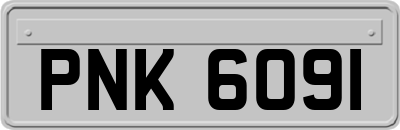 PNK6091