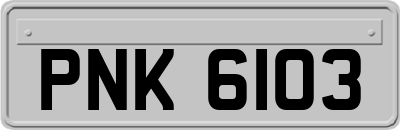 PNK6103