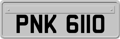 PNK6110