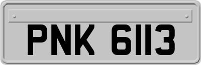 PNK6113