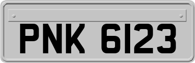 PNK6123
