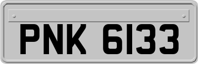 PNK6133