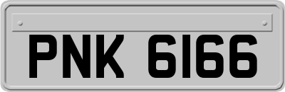 PNK6166