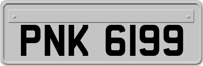 PNK6199
