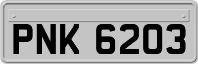 PNK6203