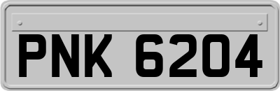 PNK6204