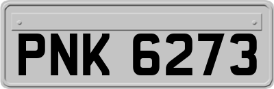 PNK6273