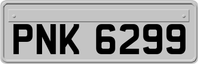 PNK6299