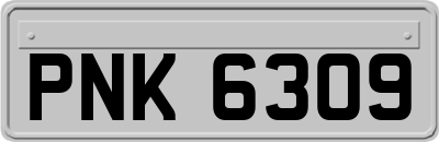 PNK6309