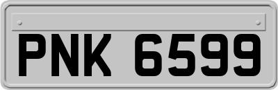 PNK6599