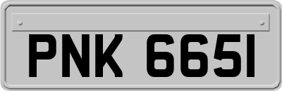 PNK6651