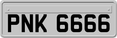 PNK6666