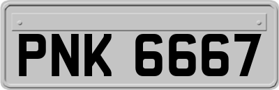 PNK6667