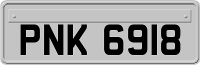 PNK6918