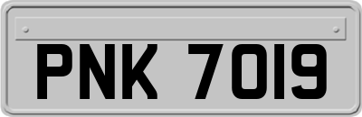 PNK7019