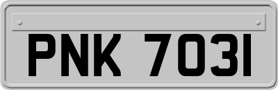 PNK7031