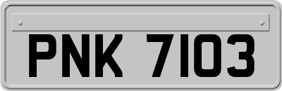 PNK7103