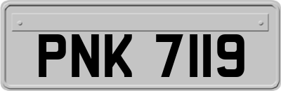 PNK7119