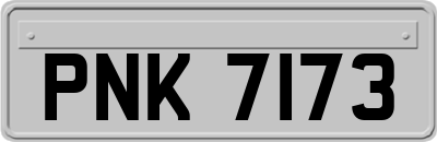 PNK7173