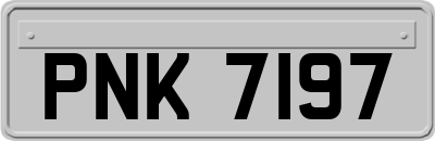 PNK7197