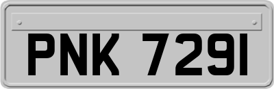 PNK7291