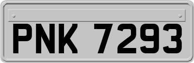 PNK7293