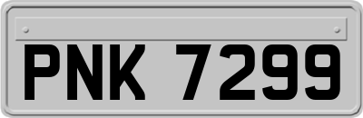 PNK7299