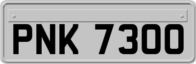 PNK7300