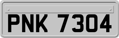 PNK7304