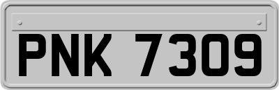 PNK7309