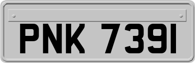 PNK7391