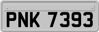 PNK7393