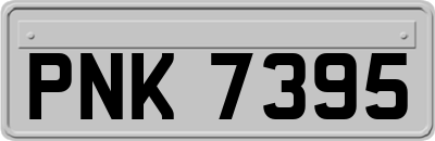 PNK7395