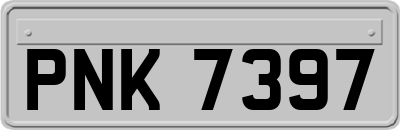 PNK7397