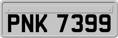PNK7399
