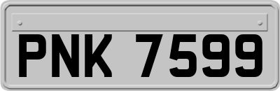 PNK7599
