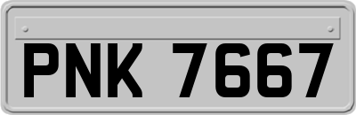PNK7667