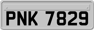 PNK7829