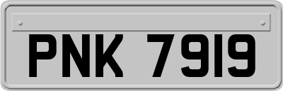 PNK7919