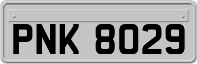 PNK8029