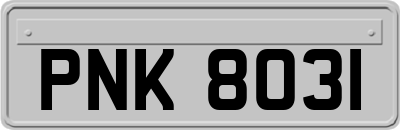 PNK8031