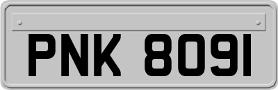 PNK8091